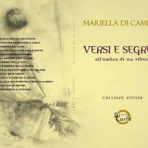 Foto Mariella Di Camillo: opere e recensioni 2