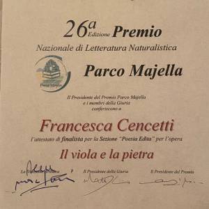 Foto Il viola e la pietra (ed Ali&no) di Francesca Cencetti 2