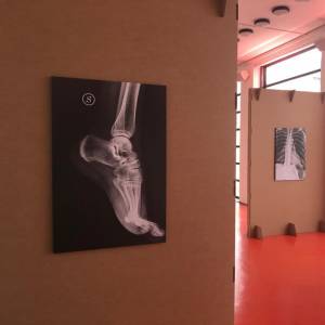 Foto L’INVISIBILITÀ NON È UN SUPERPOTERE: la mostra e la rete ospedaliera 4