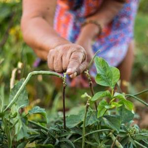 Foto Green Movie Film Fest 2020 – VII edizione: dal presente pandemico all’eco futuro 2