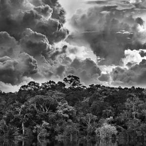 Foto ‘Amazônia’, una mostra, un viaggio, un sogno 2