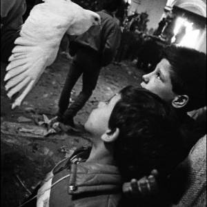 Foto A Genova la mostra 'Letizia Battaglia. Sono io' 4