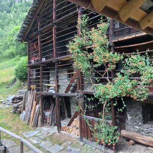 Foto Il Grande Sentiero Walser. Inizia il cammino, prime impressioni  5