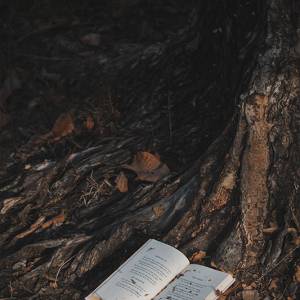 Foto Nasce Arufabetto, al servizio dei talenti letterari e della passione per la scrittura 6