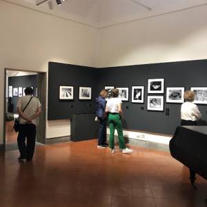 Foto Roma / 'Tina Modotti. Donna, Fotografa, Militante': inaugurata la mostra 15