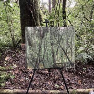 Foto 'Haley Mellin: SIAMO NATURA' al Museo Novecento di Firenze 2