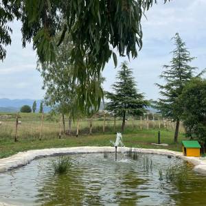 Foto Il ‘Villaggio ZeroCento’ a Ferentino: una buona pratica innovativa della cooperazione 1