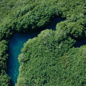 Foto Sguardi al femminile alla Festa del Cinema di Roma: l’impegno e la creatività delle registe 6