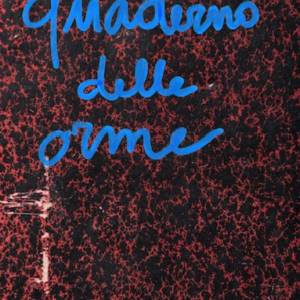 Foto A ROMA 'SCRITTURE della NATURA - NATURSCHREIBEN' 2