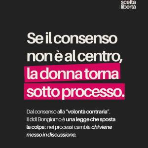 Foto NO al Ddl Bongiorno: altolà al patriarcato  16