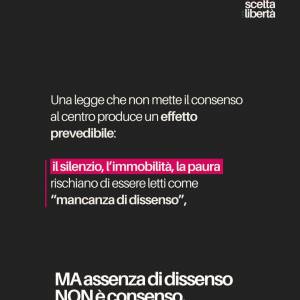 Foto NO al Ddl Bongiorno: altolà al patriarcato  19