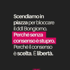 Foto NO al Ddl Bongiorno: altolà al patriarcato  26