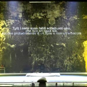 Foto ‘La Storia', in scena a Roma 'uno scandalo che dura da diecimila anni’ 2