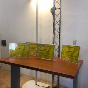 Foto Premio Mimosa 2026 dell'Udi Monteverde: celebrati i talenti delle donne  2