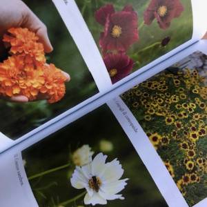 Foto 'Coltivare colori' di Erika Bozzi è un 'viaggio alla scoperta della tintura botanica' 3