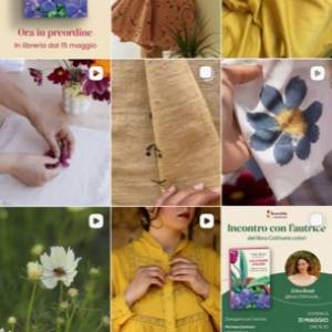 Foto 'Coltivare colori' di Erika Bozzi è un 'viaggio alla scoperta della tintura botanica' 5