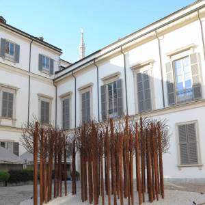 Foto A Milano 'Materie viventi', il progetto espositivo di Maria Cristina Carlini 2