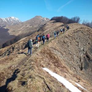 Foto Tutti sulla stessa strada
 6
