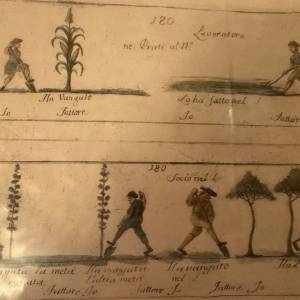 Foto Contesse per nascita, contadine per scelta, imprenditrici per vocazione
 1