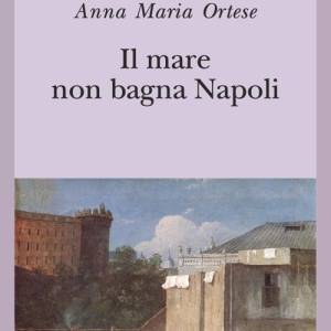 Foto Il volo delle mariposas: la metamorfosi oltre la fragilità
 1