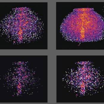 Foto: Determinazione artistica 