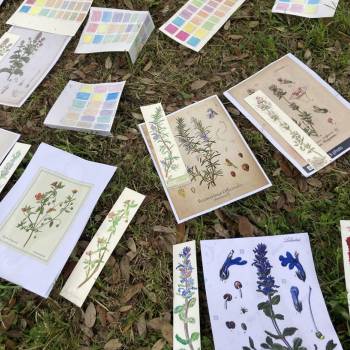 Foto: 'Le Selvatiche’: laboratori di bellezza e natura  sulle tracce di Emily e Maria Sibylla