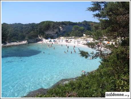 Foto: AAA Cercasi pace