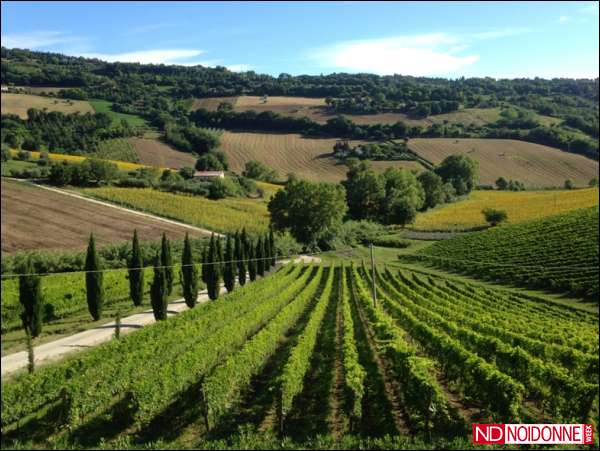 Foto: Agricoltura, femminile plurale