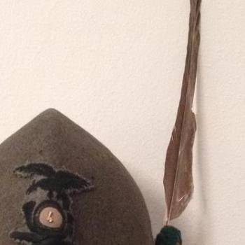 Foto: ALPINI, MOLESTIE E ANCHE LINGUAGGIO  - di Giovanna Covi