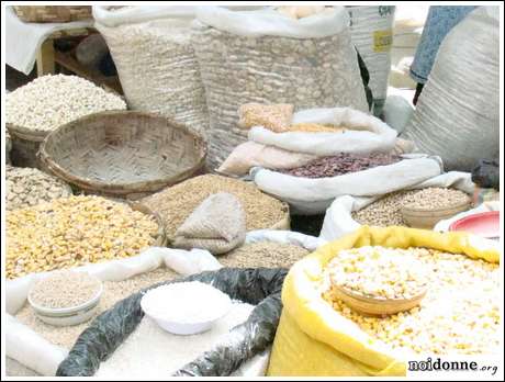 Foto: Biodiversità: protezione della natura o intralcio all’economia?