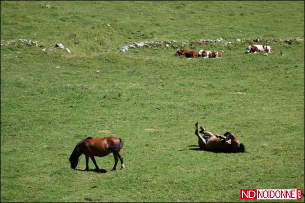 Foto: Dallo stupore alla rabbia...