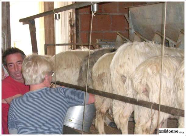 Foto: Donne alla ricerca di nuove sfide