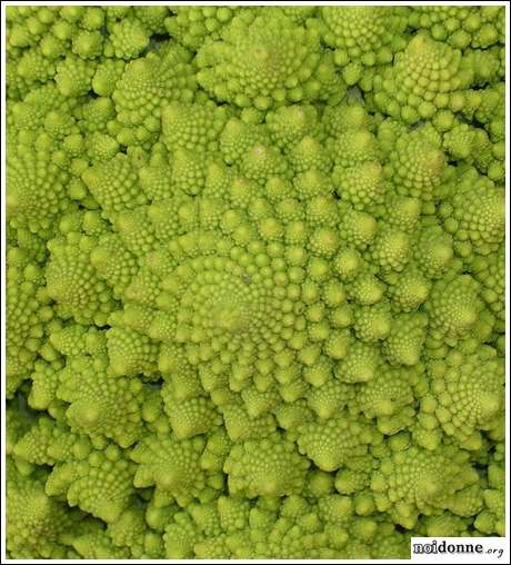 Foto: Frutta e verdura d'inverno