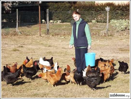 Foto: IN CAMPO LA PASSIONE