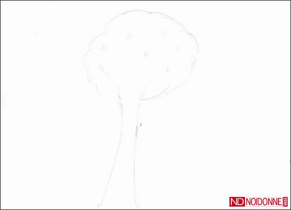 Foto: Leggere l' albero