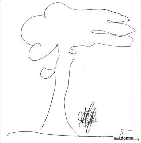 Foto: Leggere l’albero