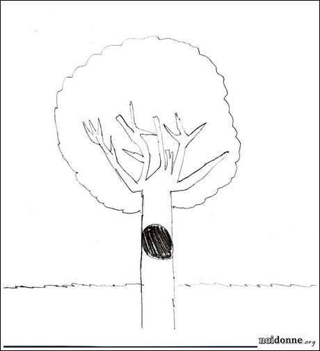 Foto: Leggere l’albero
