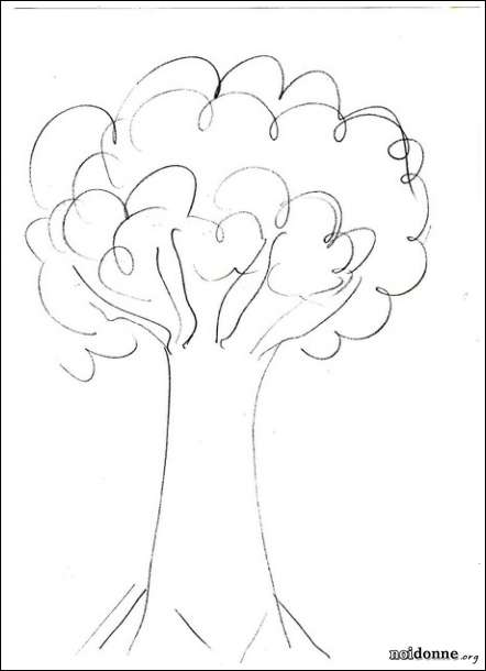 Foto: Leggere l’albero