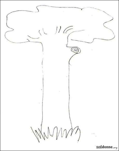 Foto: Leggere l’albero