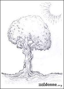 Foto: Leggere l’albero