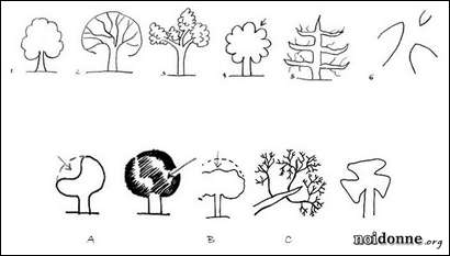 Foto: Leggere l’albero / 2