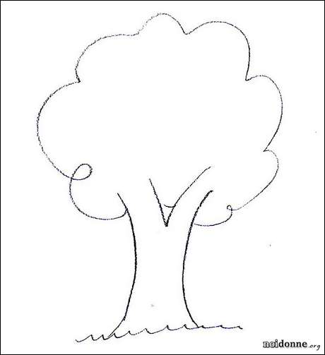Foto: Leggere l'albero