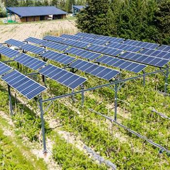 Foto: Quella terra generatrice che tutti vogliono: l'agricoltura e i pannelli solari