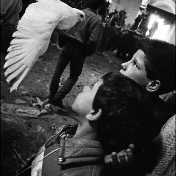 Foto: A Genova la mostra 'Letizia Battaglia. Sono io'