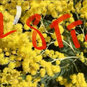 Foto: Buon LOTTO marzo, di ricostruzione di un mondo a misura nostra