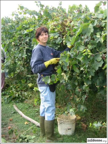 Foto: Tutta ‘lavoro e famiglia’