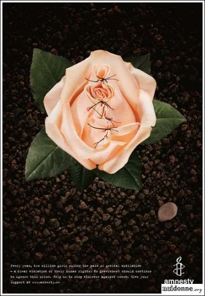 Foto: Un petalo di rosa contro le Mgf